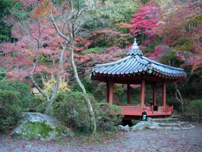 山口県にいってきた~その2~