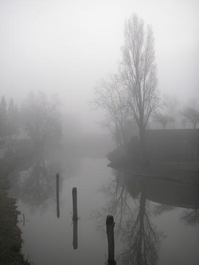 霧のPadova