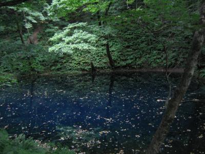 2003年 青池を訪ねました(十和田湖~奥入瀬~青池)