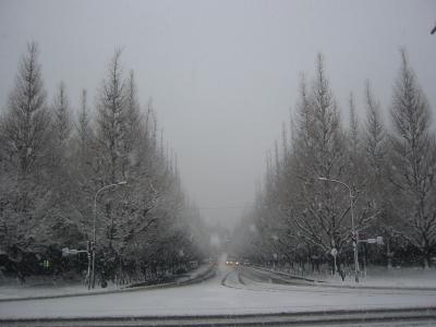 冬ソナorストックホルム！？な東京の街