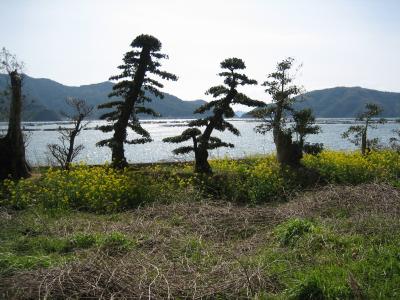 海沿いドライブ