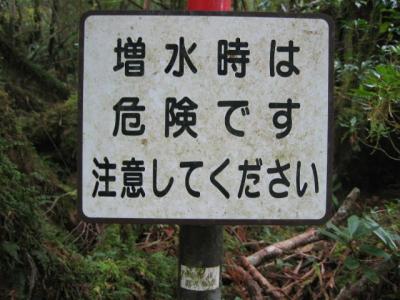 雨に打たれて−屋久島縦走記(四)