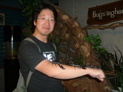 ｾﾝﾄｰｻ島で半日観光