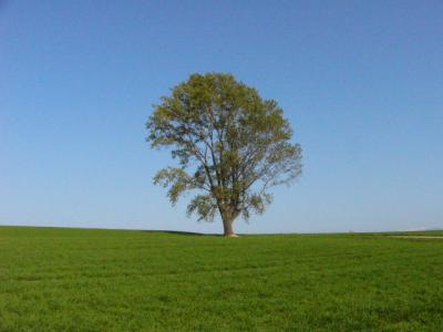 ☆北海道一周旅行記☆