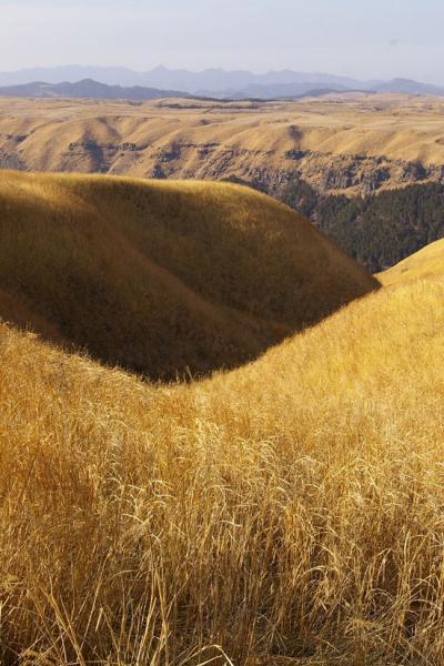 【九州　３】　温泉巡りの旅（くじゅう・阿蘇）　０６年２月２４日