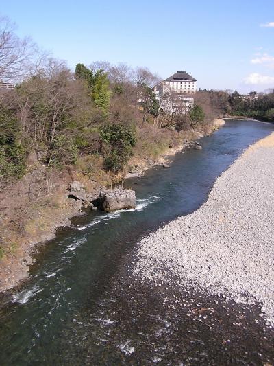 吉野梅郷ハイキング・・・梅の公園その他を訪ねて・・その?