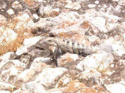 そらへ向かって高くそびえる石の塊あるいは観光日和