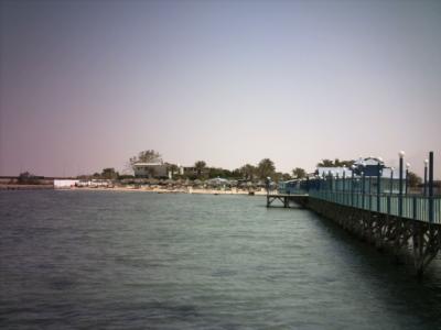 サバクの国でダイビングｉｎジェッダｏｆサウジアラビア