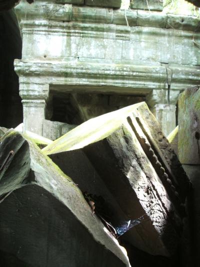 完全なるナーガあるいは天空城と巨大な木々