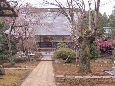 春を求めての三富地区散策　その?多福寺付近