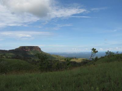 Chapada dos Guimara~es（ギマラァィンス高原）　～トレッキング?～