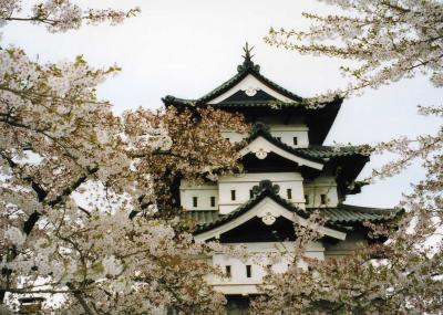 昨年のお花見で、一足早いお花見を！春の訪れ遅い青森へ！！