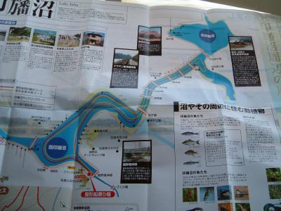 印旛沼～佐倉チューリップ祭り