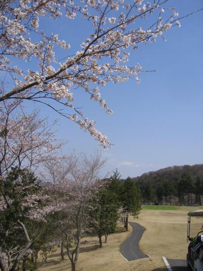 大厚木カントリークラブ　桜コース