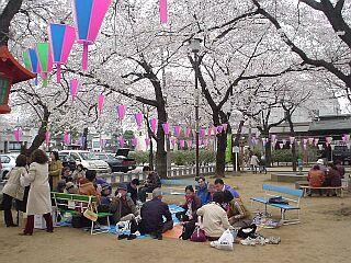 蓮馨寺でお花見