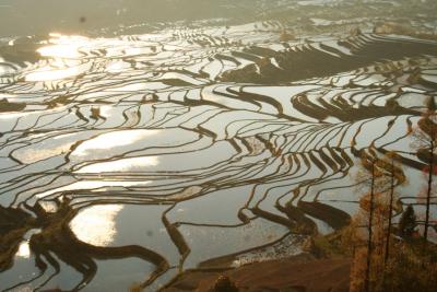 元陽の棚田を目前にして