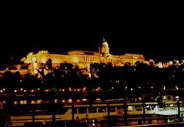 ﾊﾝｶﾞﾘｰ【ﾌﾞﾀﾞﾍﾟｽﾄ】