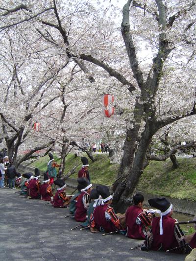 弟は足軽☆岡崎桜まつりと家康行列