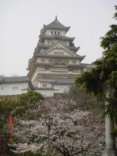 姫路城へお花見