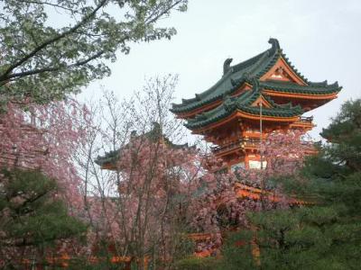 南禅寺前から平安神宮へ桜をめでに