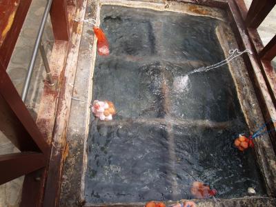 湯峰温泉に行ってきました。