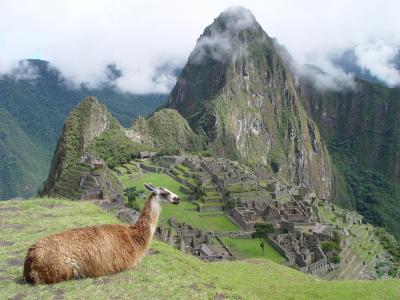 2006年ペルー・ボリビア・チリ旅行　４日目　マチュピチュ　?　-MACHU PICCHU-