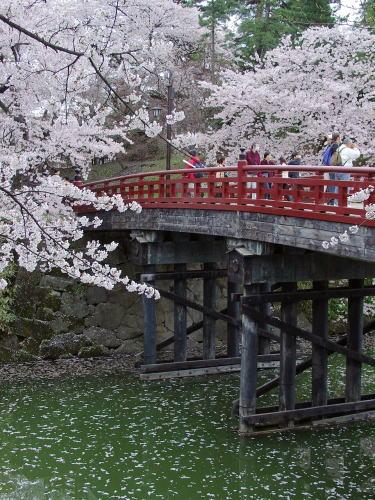 弘前城の桜　2004年4月