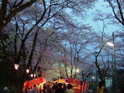 赤城千本桜で桜を見てきました。