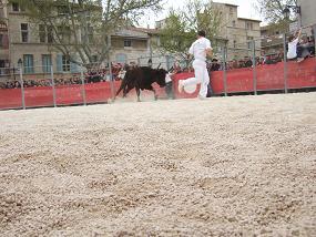 キリスト教復活祭　アルル闘牛祭り