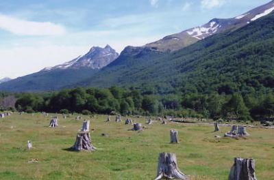 ティエラデルフエゴ国立公園、世界の果て号乗車