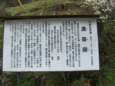 満奇洞（岡山県指定天然記念物）観光