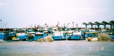 1997年秋のイタリア＆チュニジア旅行20日間その14：スースから日帰りその２：マーディーア