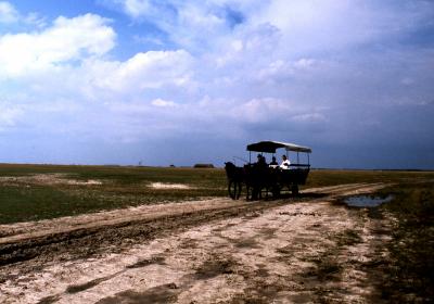 １９８８年のヨーロッパ 26、ハンガリー編 (ショプロン＆ブダペスト〜ホルトバージ etc. etc.)