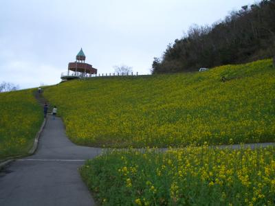 翠波高原