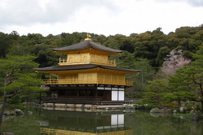 春の京都～金閣寺