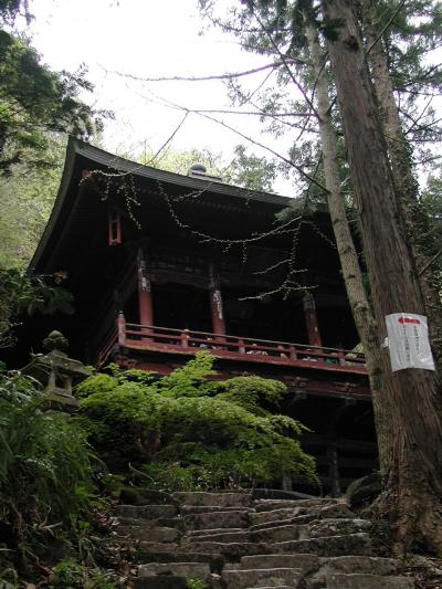 新緑の琴平丘陵から芝櫻の羊山公園までハイキング　その1