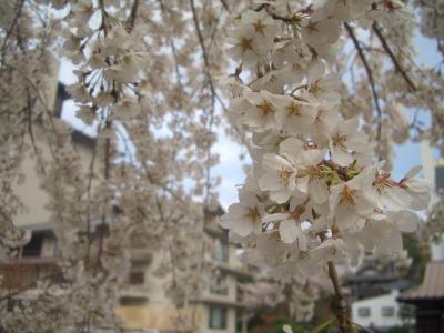 きままなＯＬ二人旅☆ほっこり有馬