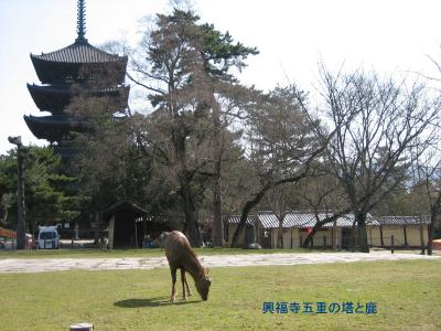 奈良の文化遺産