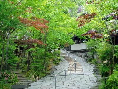 湯布院 山のほてる夢想園