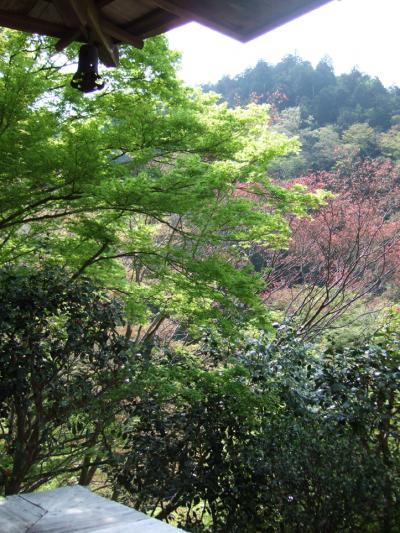 新緑の京都ひとり旅（２）高雄から洛西へ