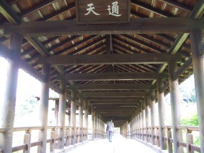 北近畿・京都旅行記2006(2)清水寺から洛南エリアへ