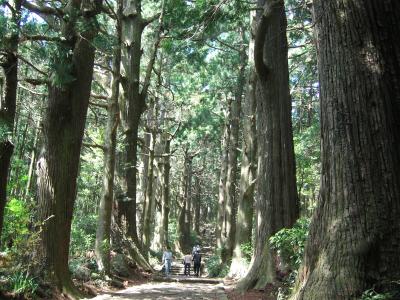 伊勢・熊野めぐり