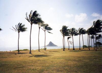 最初で最後のオアフ島