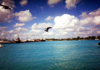 シアトル・マイアミ経由バハマへ…