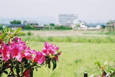 2006年ＧＷの旅《3日目、球磨焼酎工場へ》