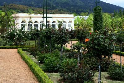 伊豆２　河津バガテル ローズガーデン