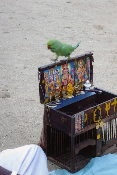 南インド／カーニャクマリ（2004/10）