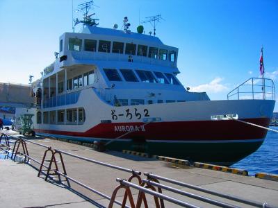 冬の北海道満喫旅行　３日目～流氷って何？　鳥ウォッチング！に燃えた　おーろら号と　流氷ノロッコ号、ここは地獄の一丁目？！博物館　網走監獄編　～