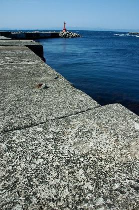 ★春の東北旅行（４）大間のマグロを食べに