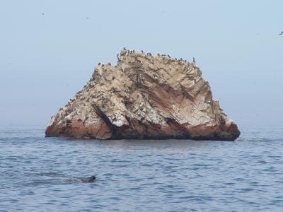 2006年ペルー・ボリビア・チリ旅行　21日目　バジェスタ島　-ISLAS BALLESTAS Y DE PISCO A LIMA-